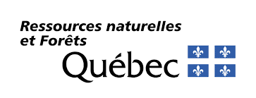 Ministère des Ressources naturelles et des Forêts du Québec logo